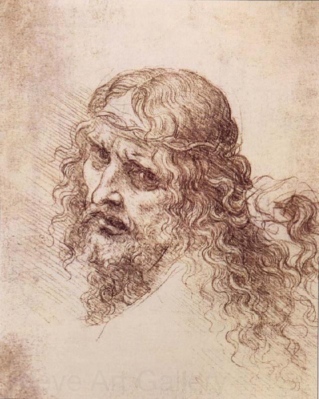 LEONARDO da Vinci Head and shoulders Christs Norge oil painting art